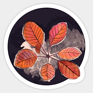 Autumn leaves pattern Sticker